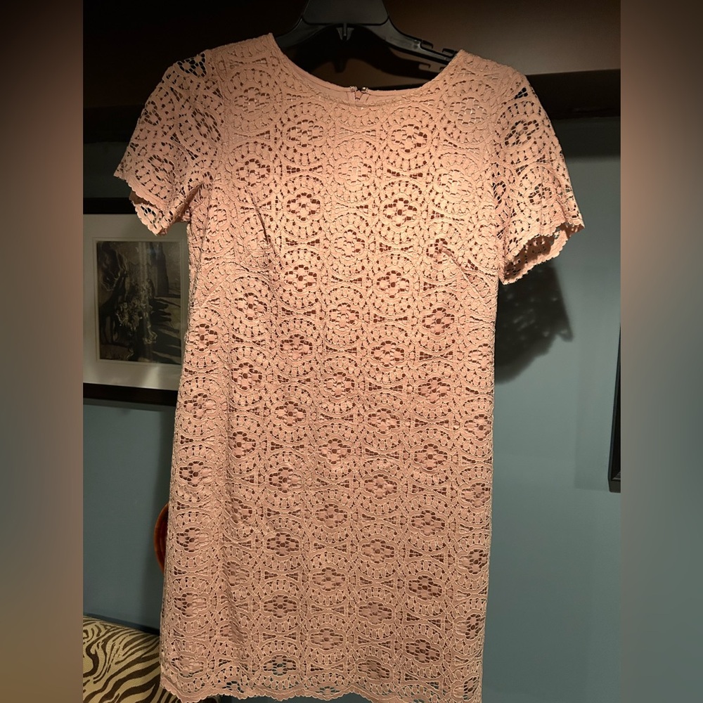 Ann Taylor Lace Shift Mini Dress